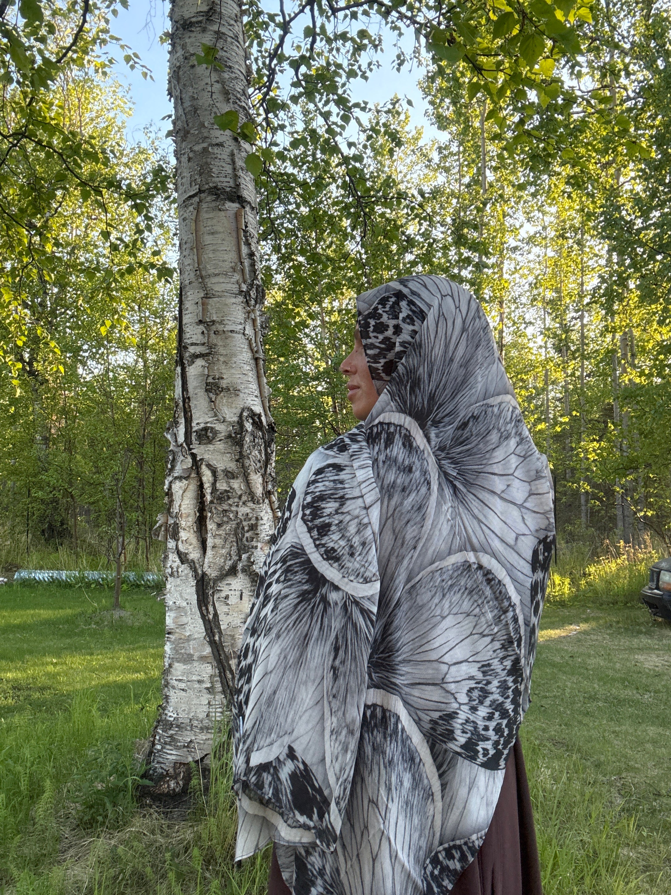 Arctic moth