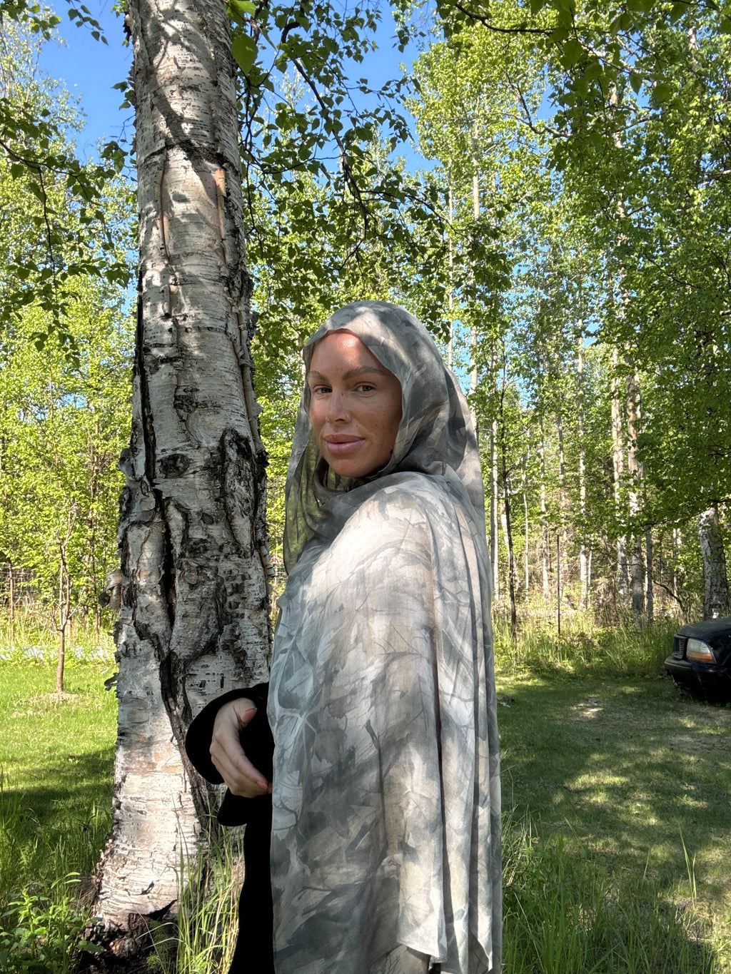 Birch tree