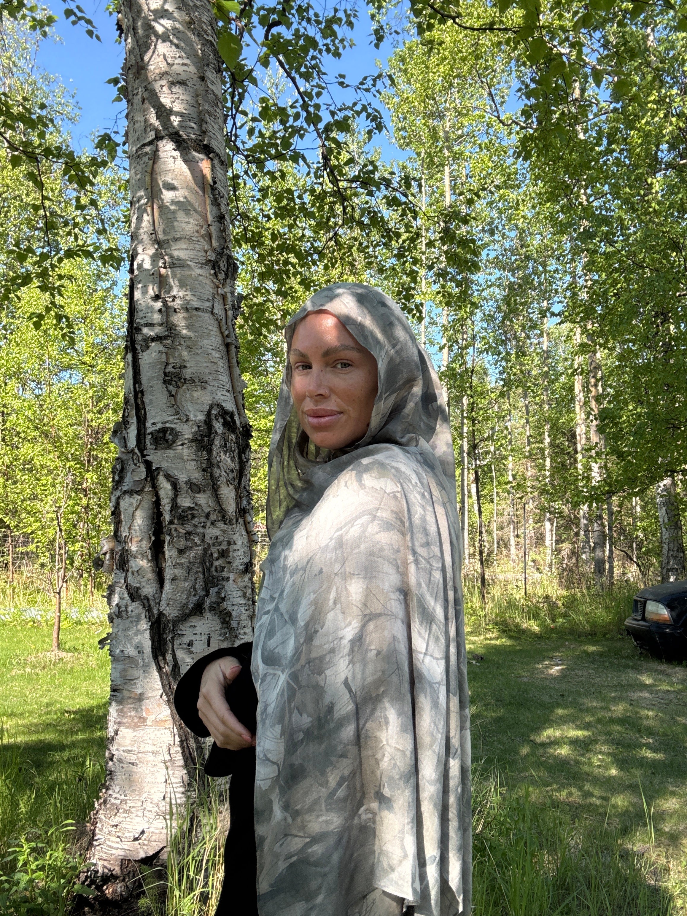 Birch tree